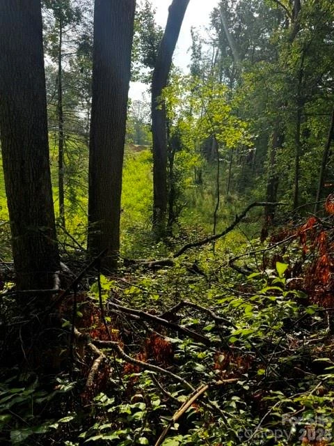 00000 Monticello Road - Photo 7