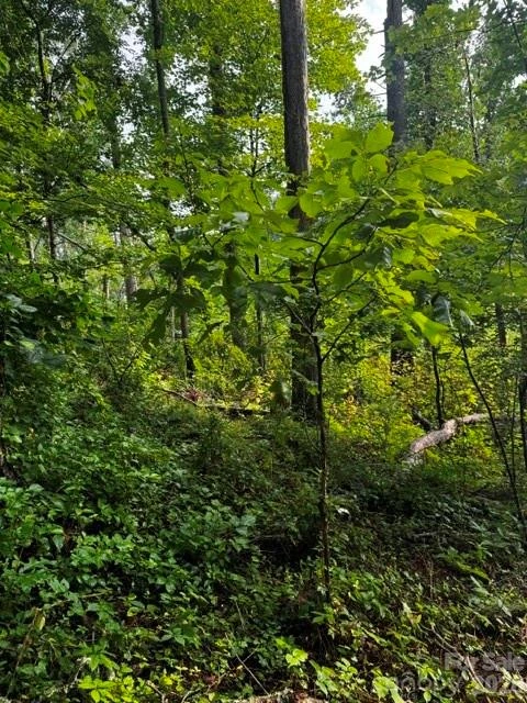 00000 Monticello Road - Photo 8