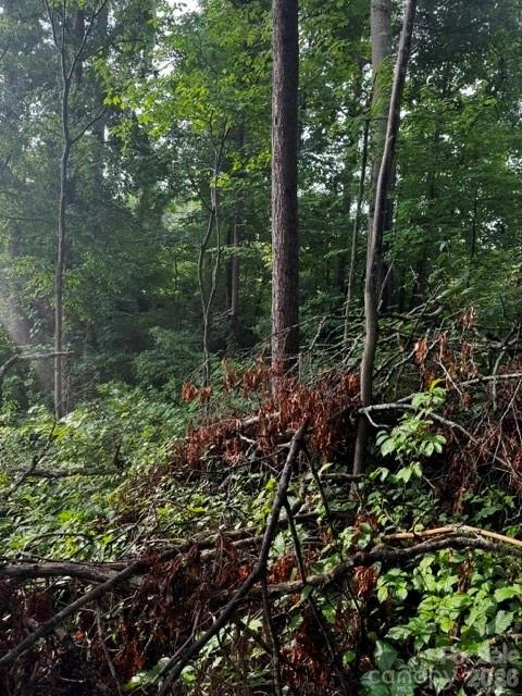 00000 Monticello Road - Photo 10