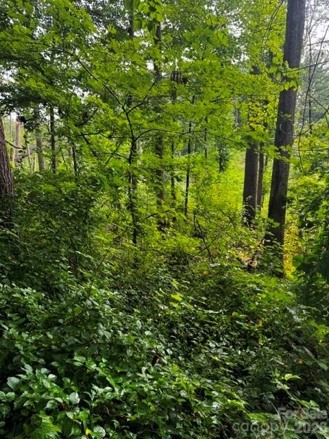 00000 Monticello Road - Photo 11