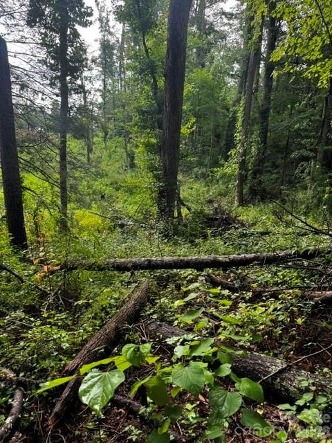 00000 Monticello Road - Photo 12