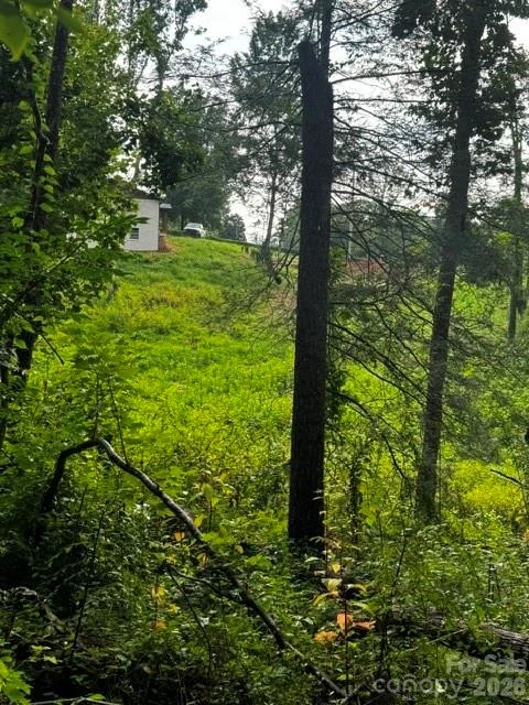 00000 Monticello Road - Photo 13