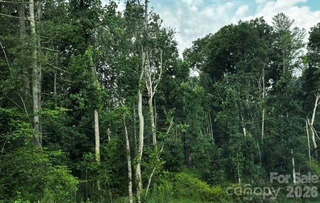 00000 Monticello Road - Photo 21