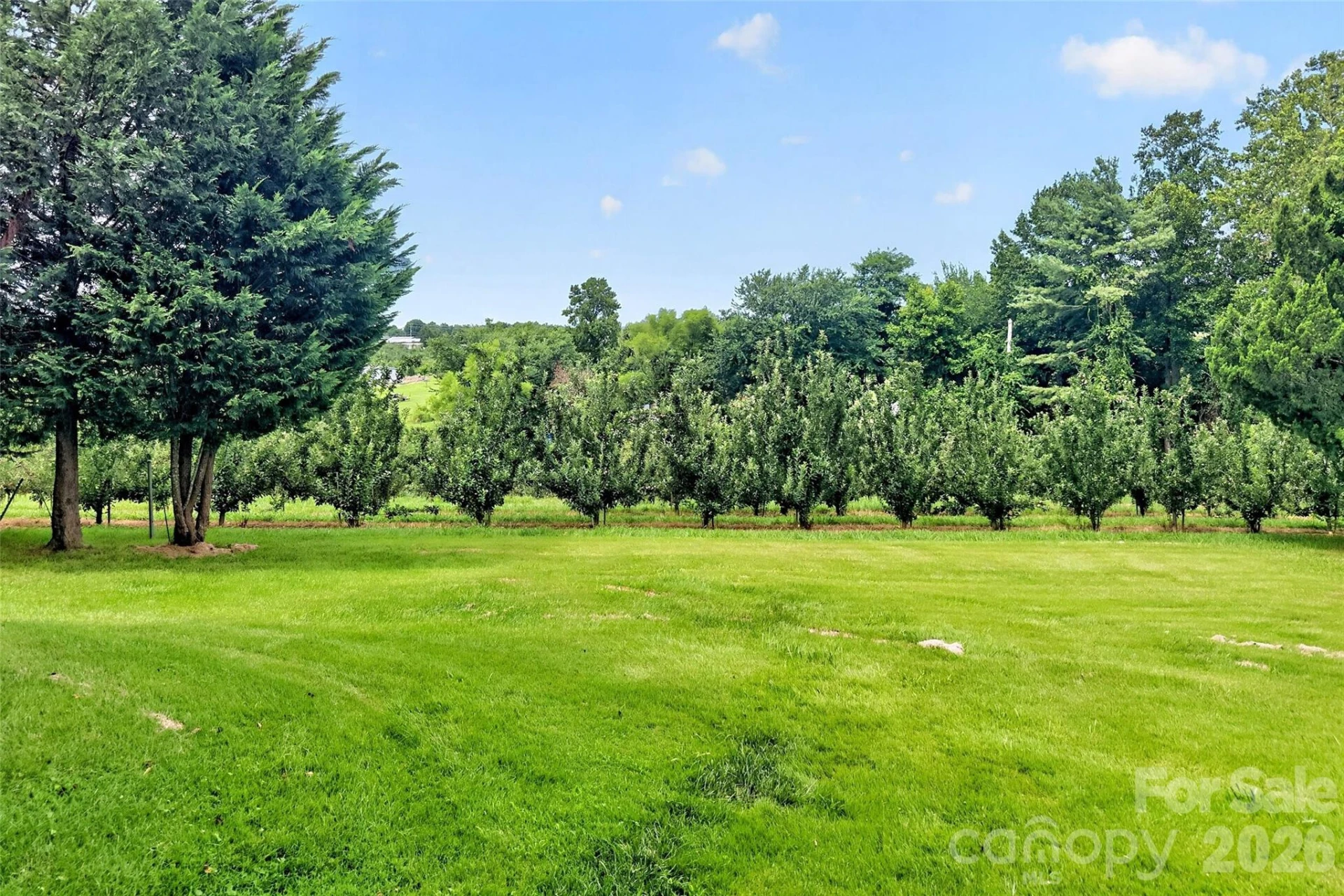 26 Sweet Briar Path Way - Photo 5