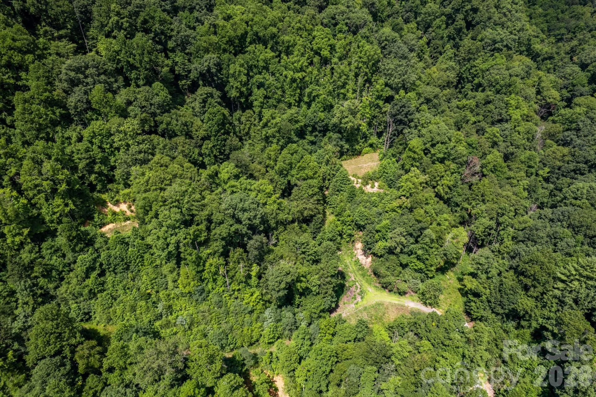 99999 Morgan Hill Road - Photo 19