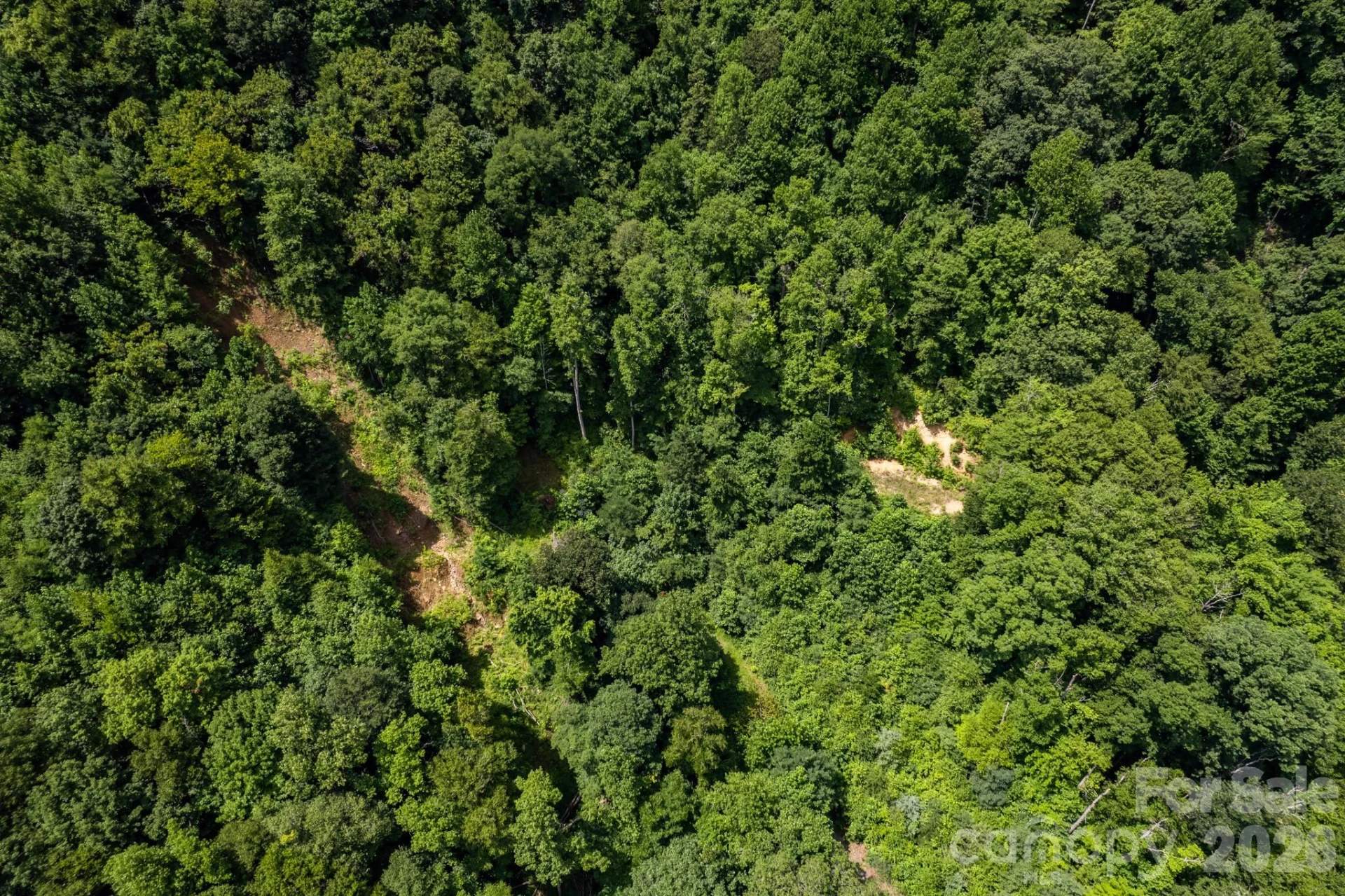 99999 Morgan Hill Road - Photo 20