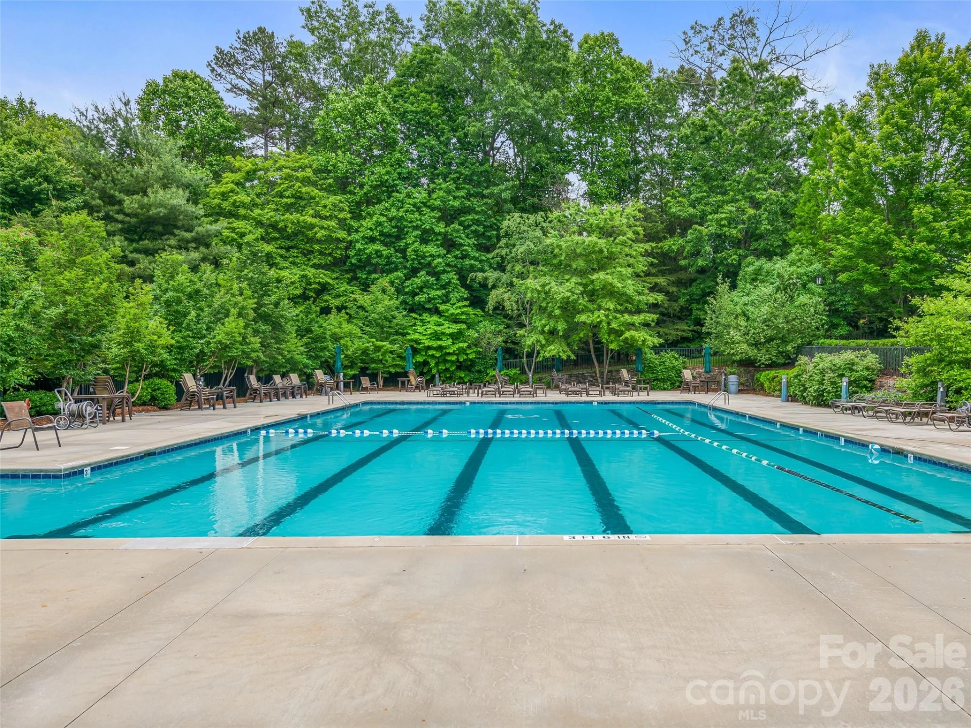 1606 Olmsted Drive - Photo 44