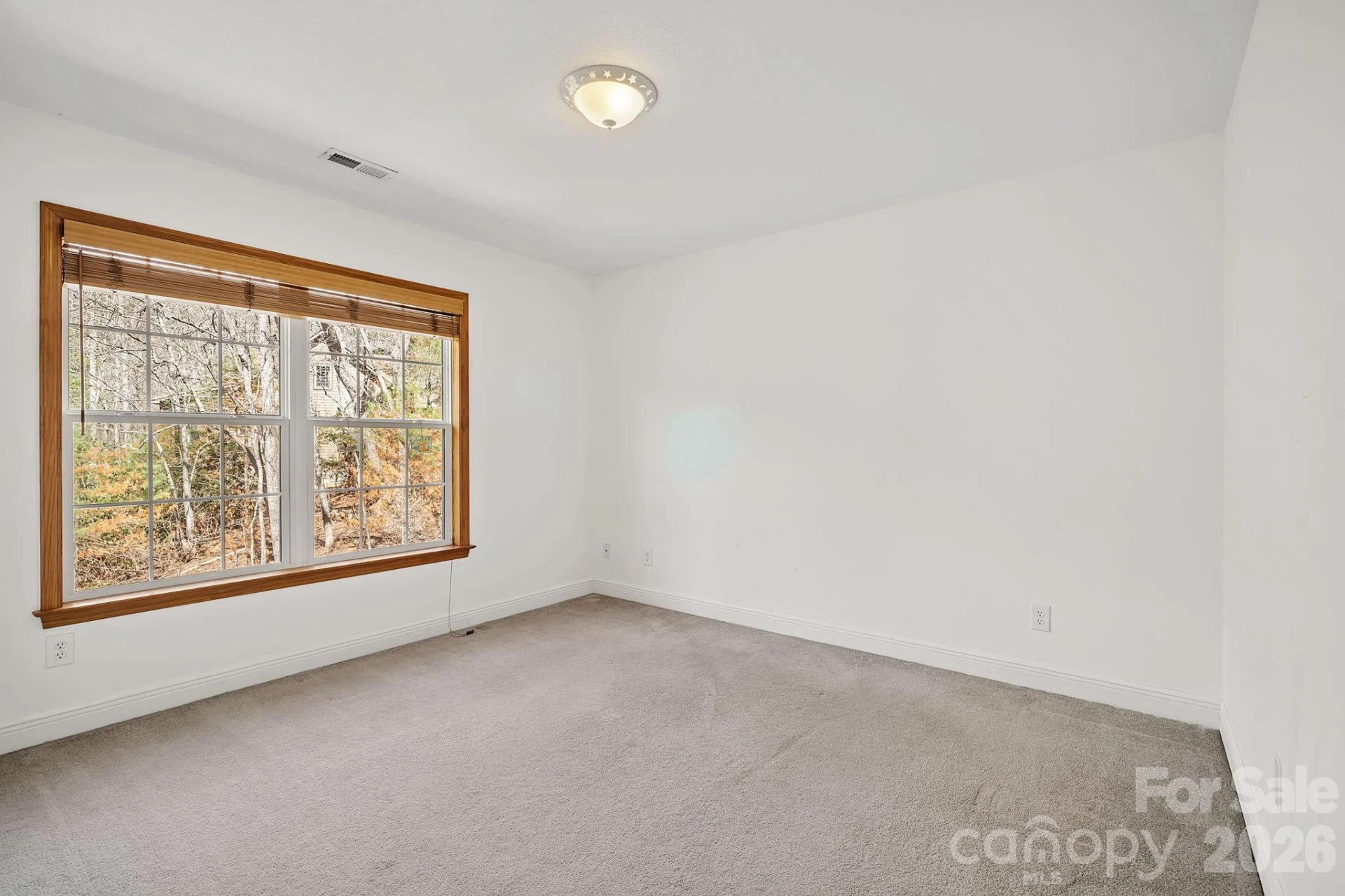 36 Ivy Cove Road - Photo 27