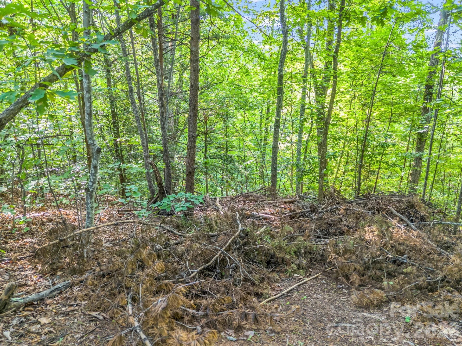 00 Laurel Lakes Parkway #44 - Photo 6