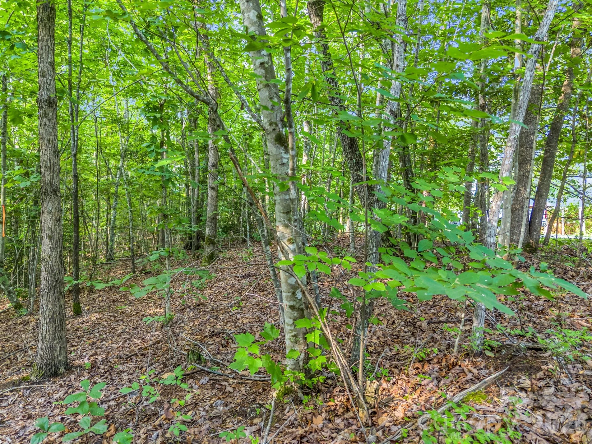 00 Laurel Lakes Parkway #44 - Photo 7