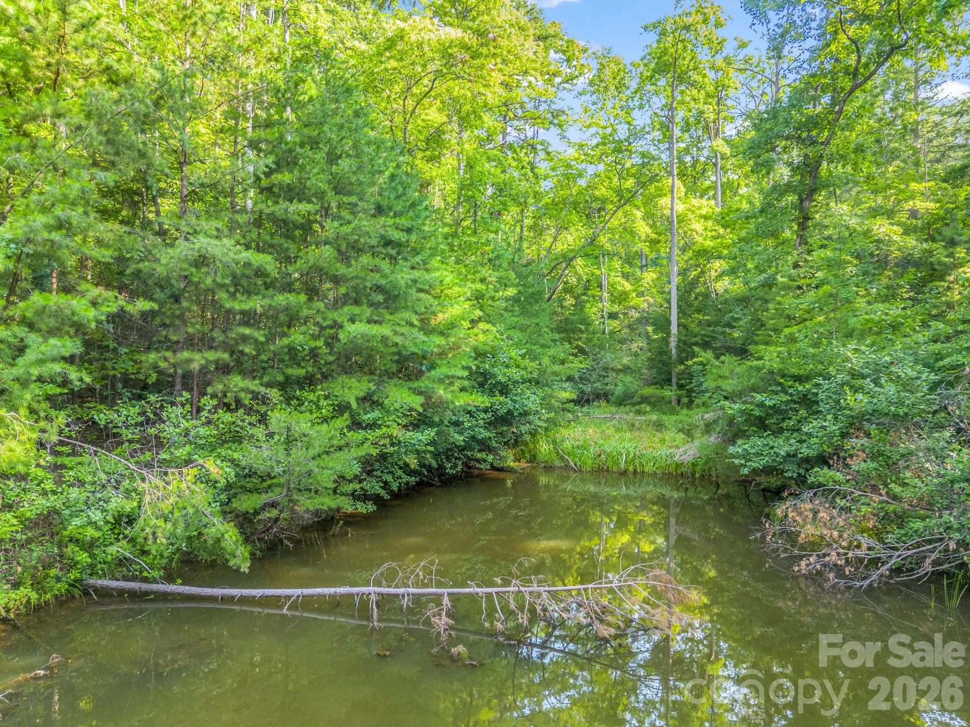 00 Laurel Lakes Parkway #44 - Photo 9