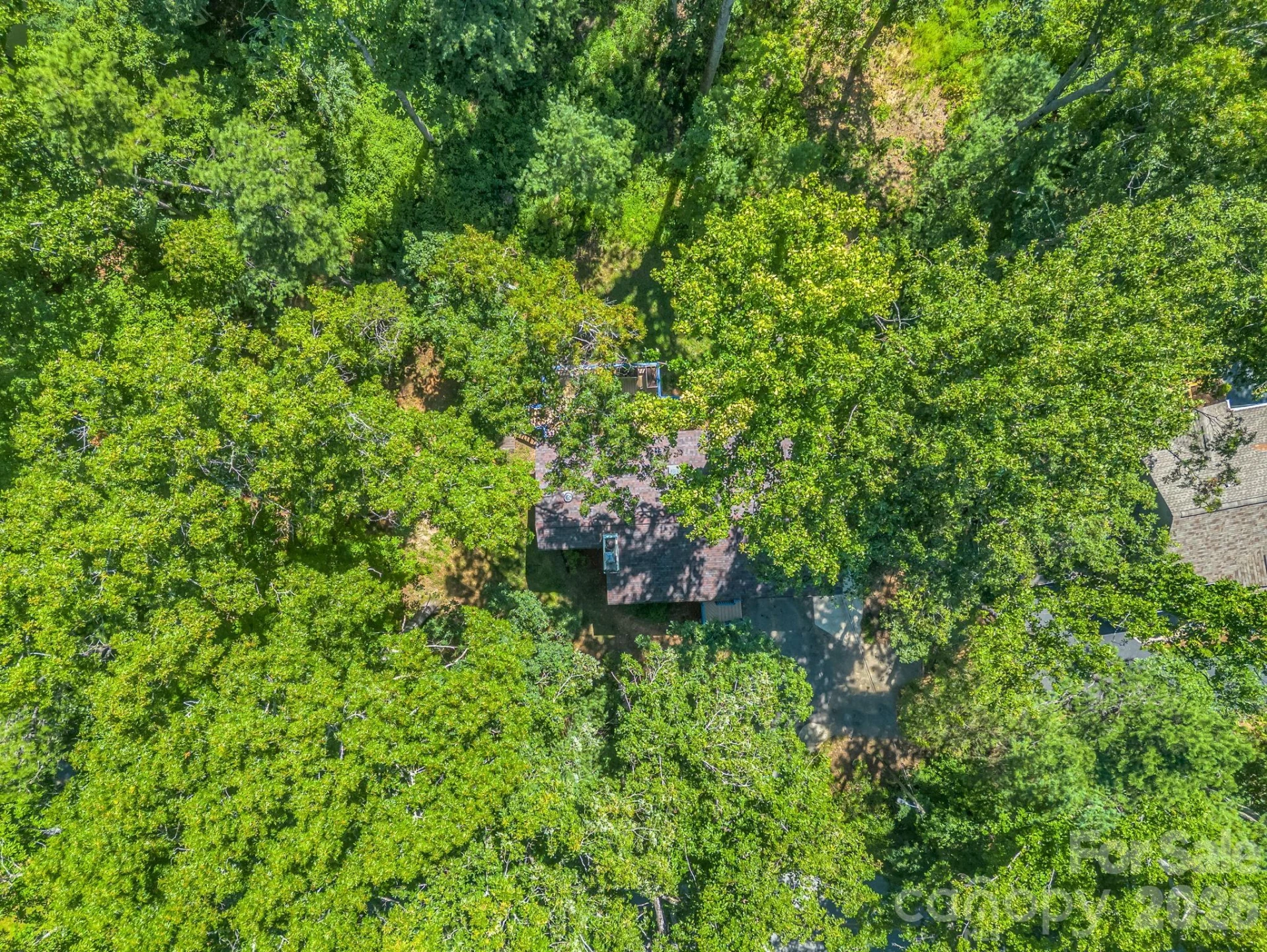 177 Weston Road - Photo 42