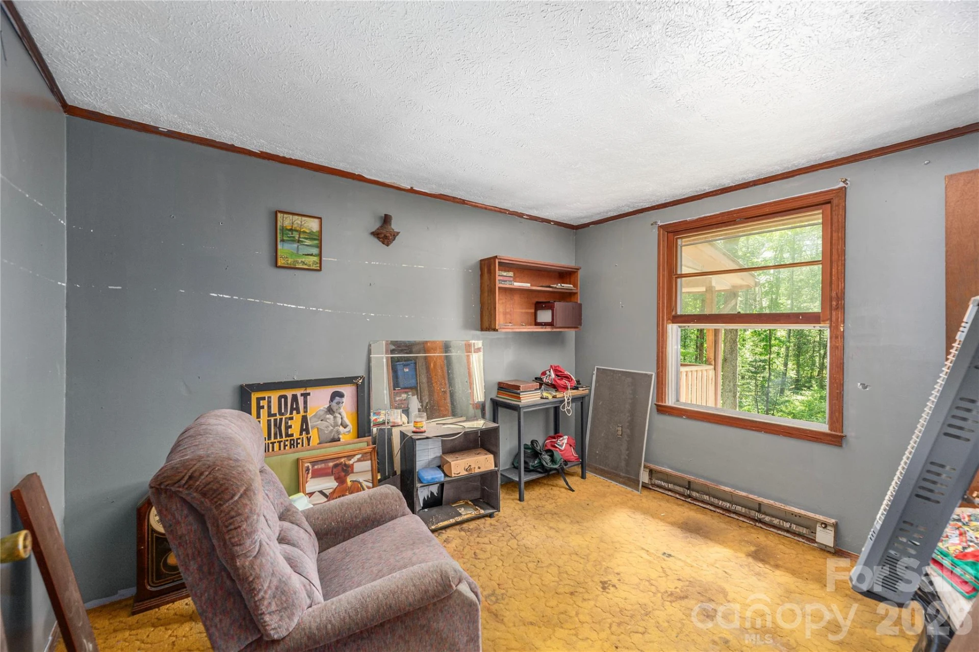245 Bert Lane Road - Photo 11