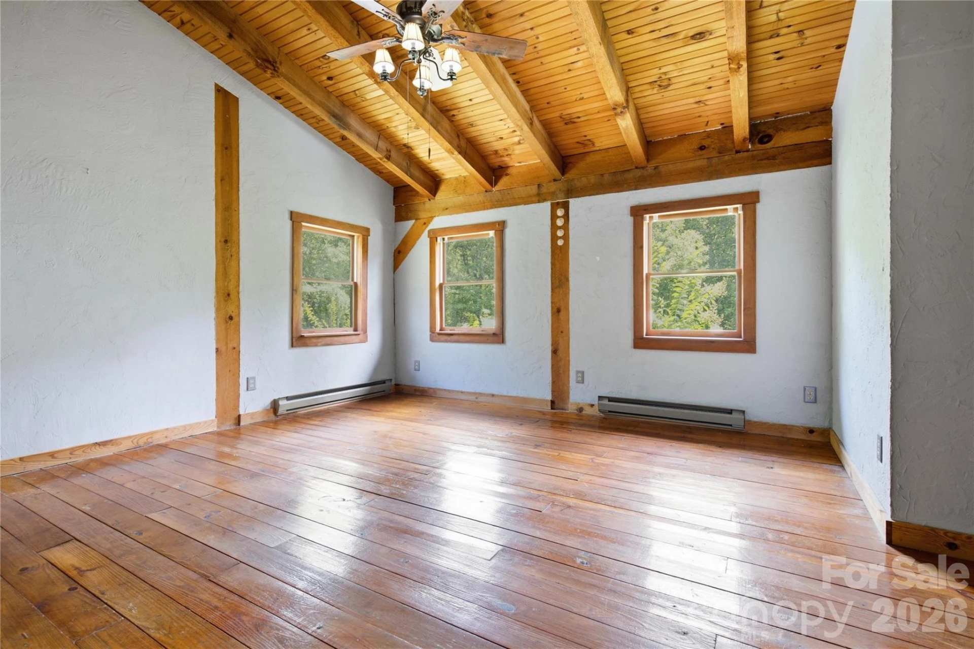316-318 Cane Creek Mountain Road - Photo 18