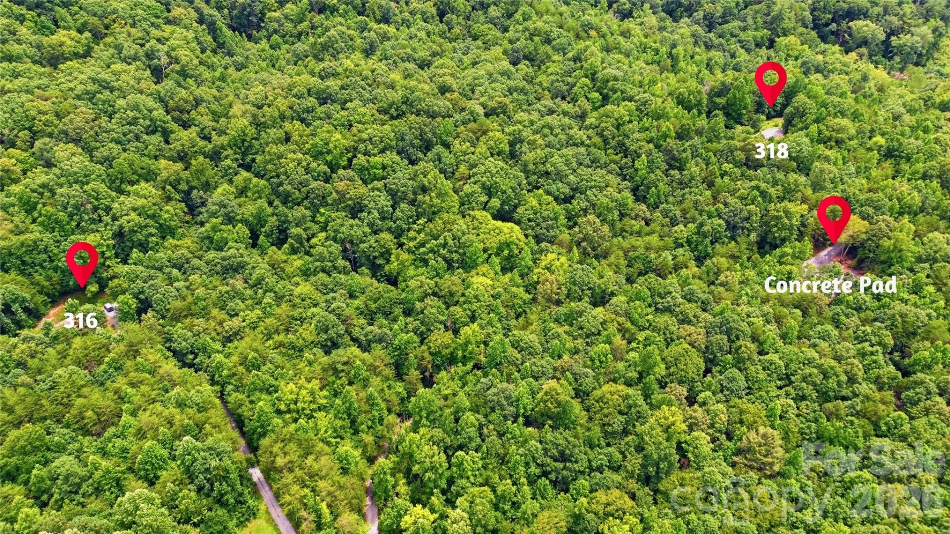 316-318 Cane Creek Mountain Road - Photo 28