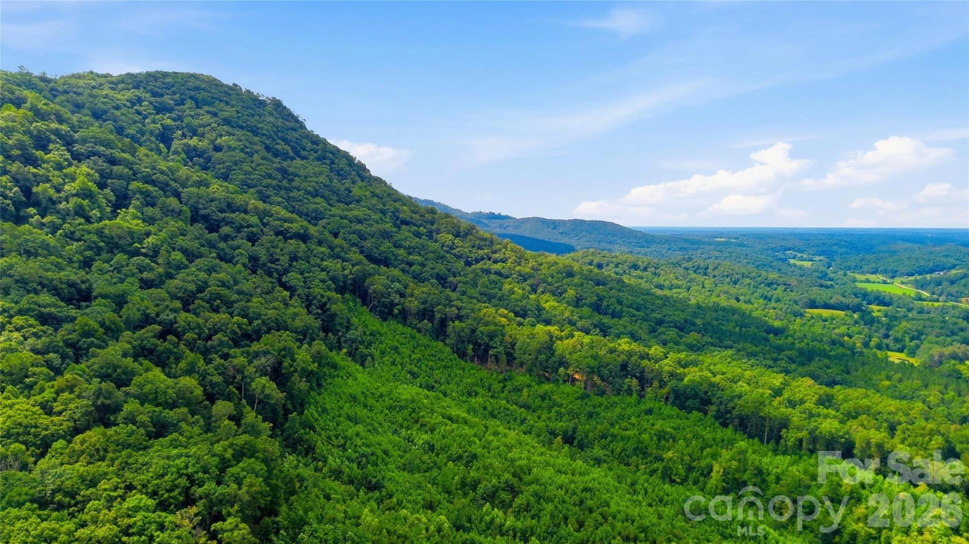 316-318 Cane Creek Mountain Road - Photo 29