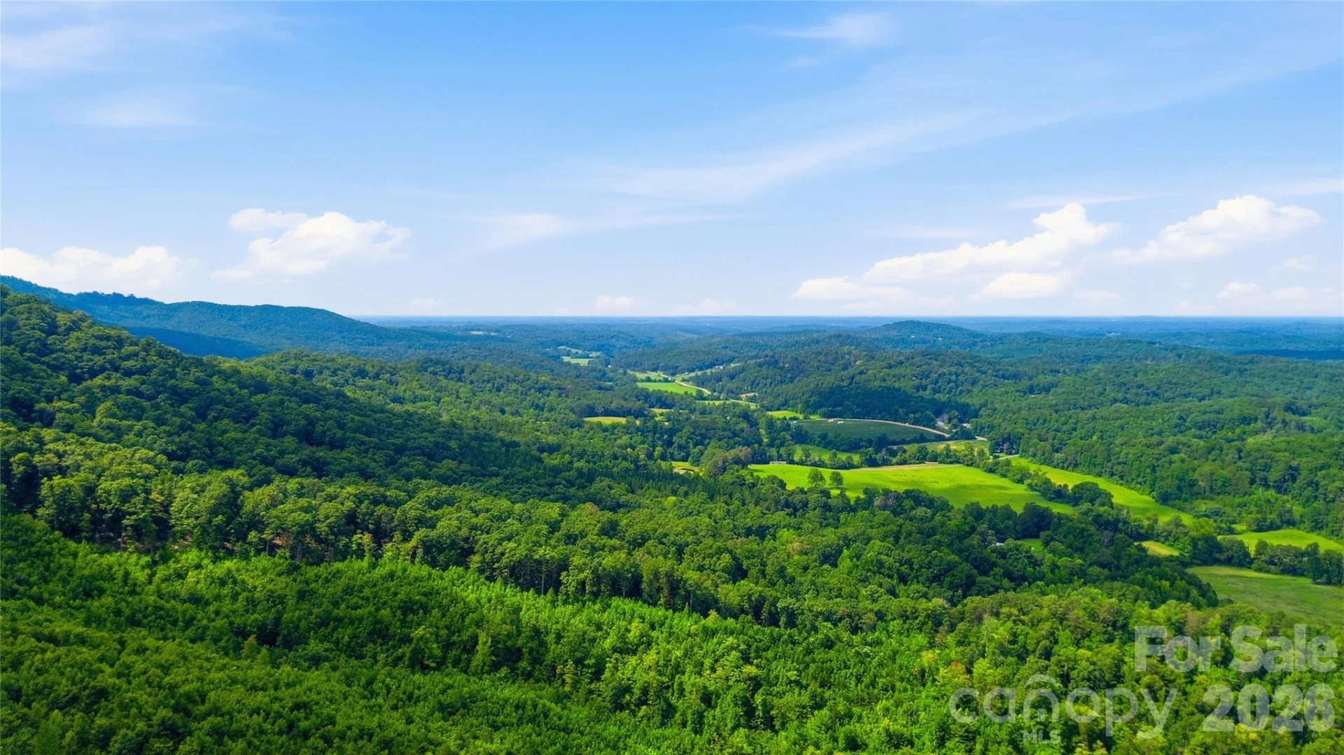 316-318 Cane Creek Mountain Road - Photo 30
