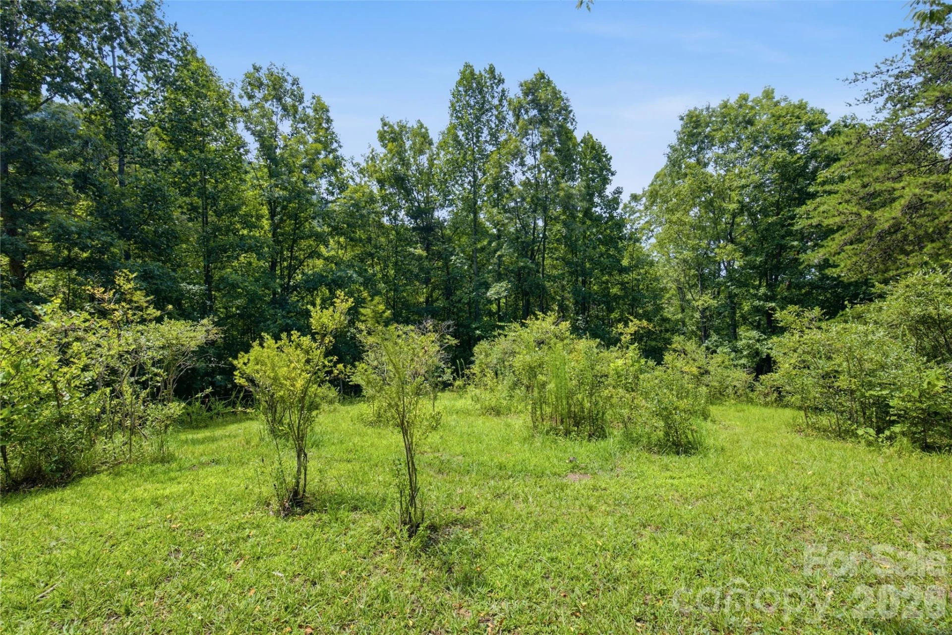 316-318 Cane Creek Mountain Road - Photo 31