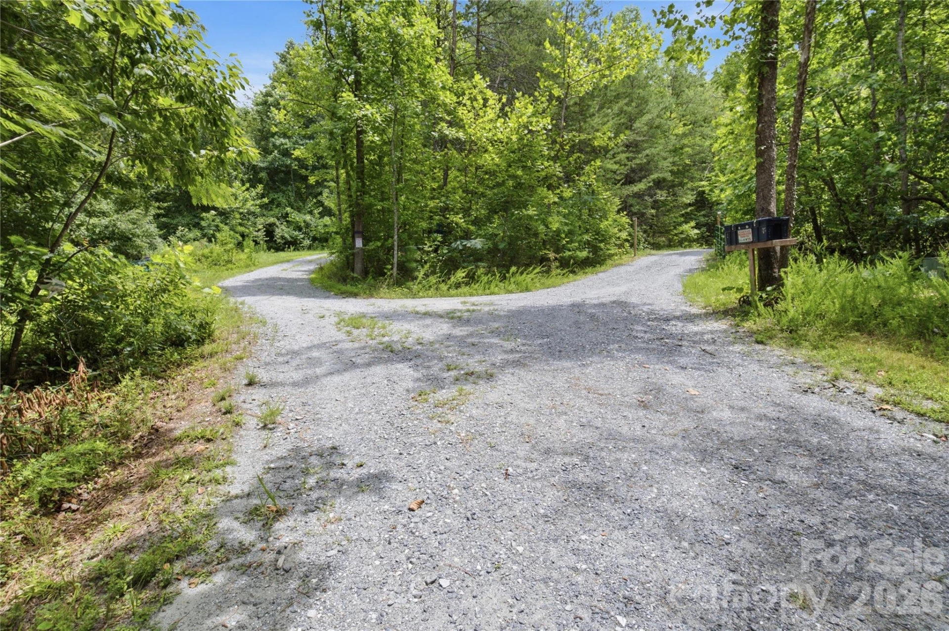 316-318 Cane Creek Mountain Road - Photo 37