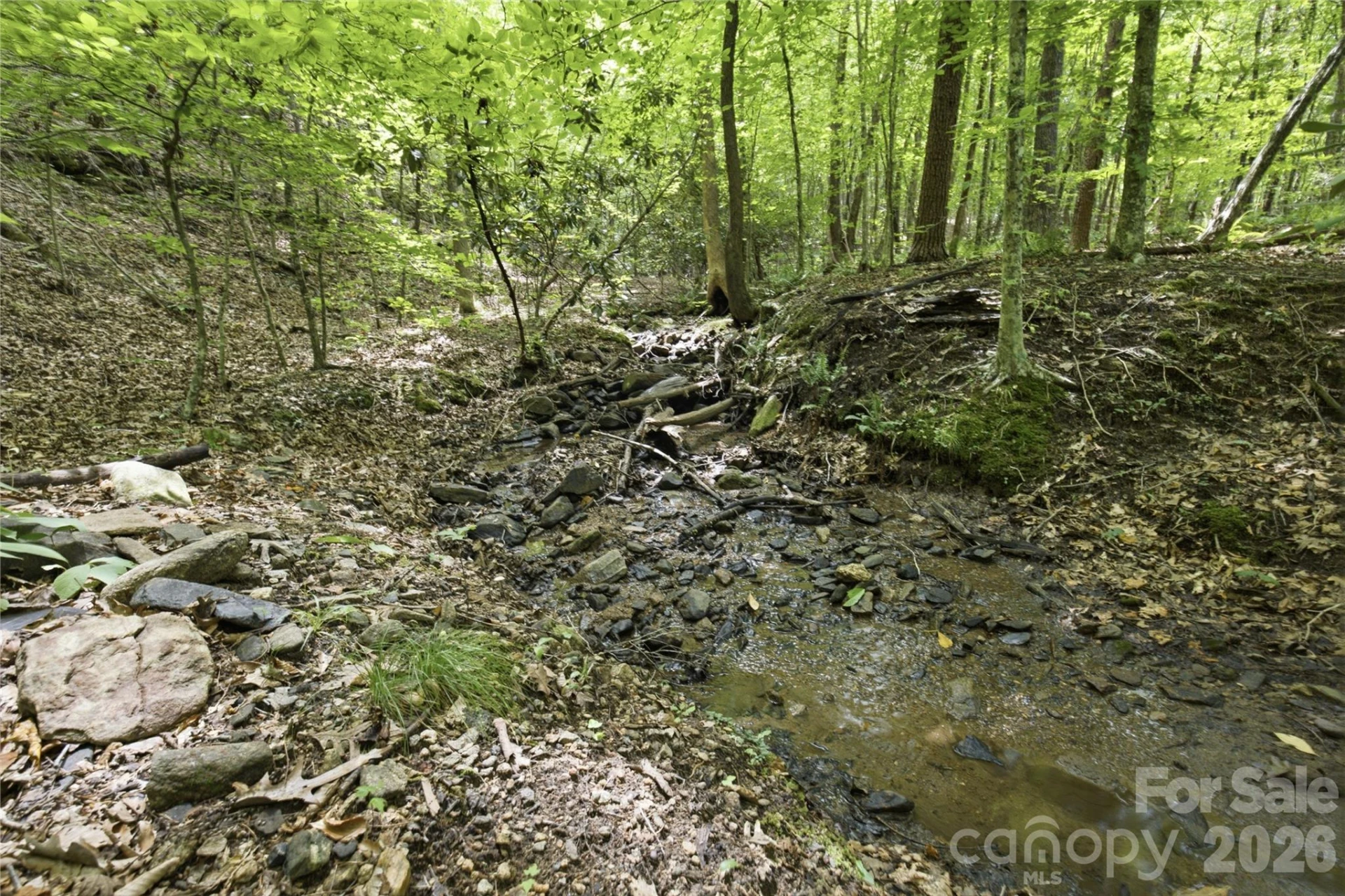 316-318 Cane Creek Mountain Road - Photo 38