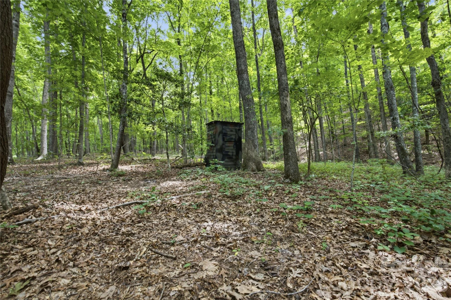 316-318 Cane Creek Mountain Road - Photo 39