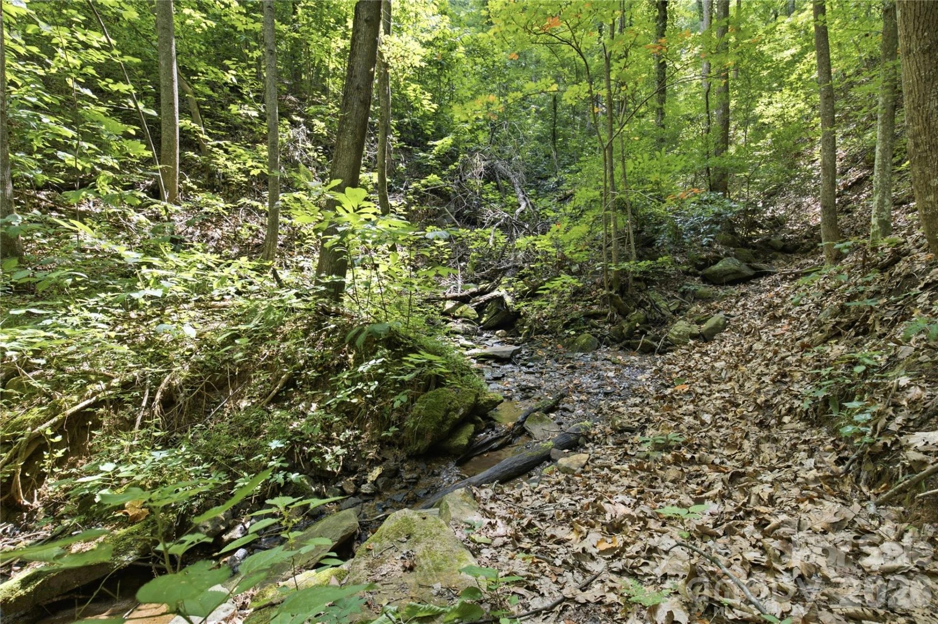 316-318 Cane Creek Mountain Road - Photo 42