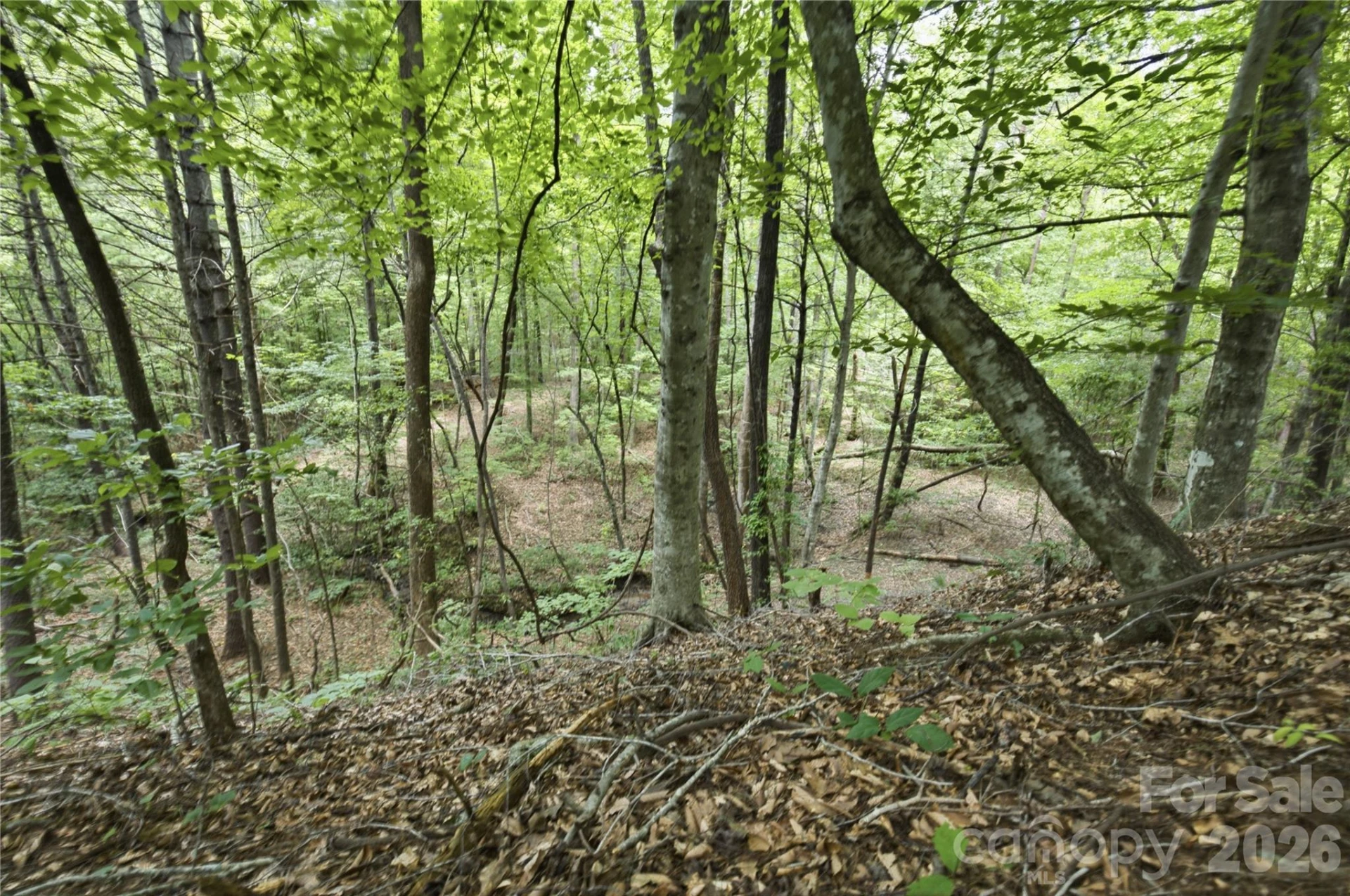 316-318 Cane Creek Mountain Road - Photo 43