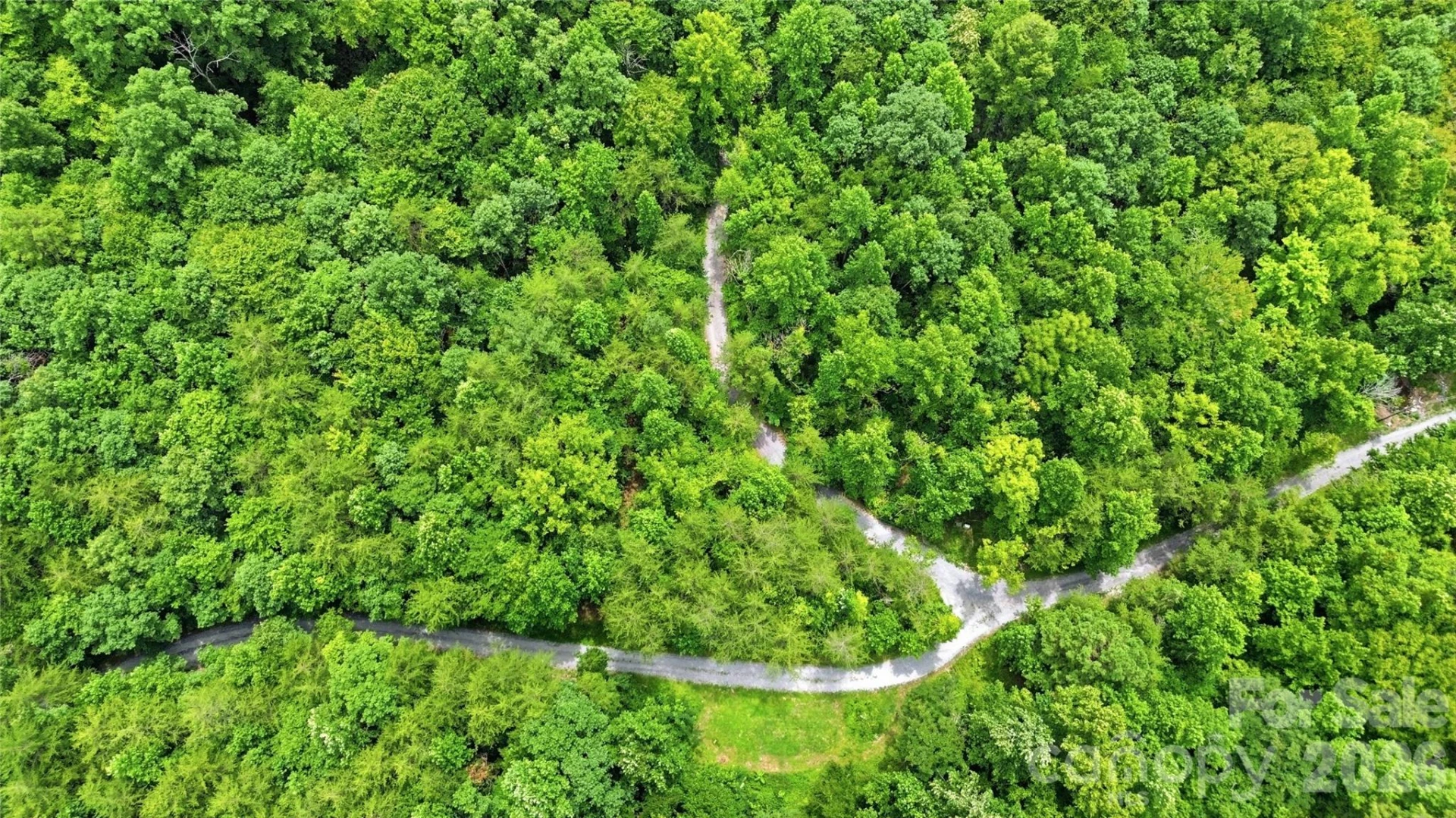 316-318 Cane Creek Mountain Road - Photo 46