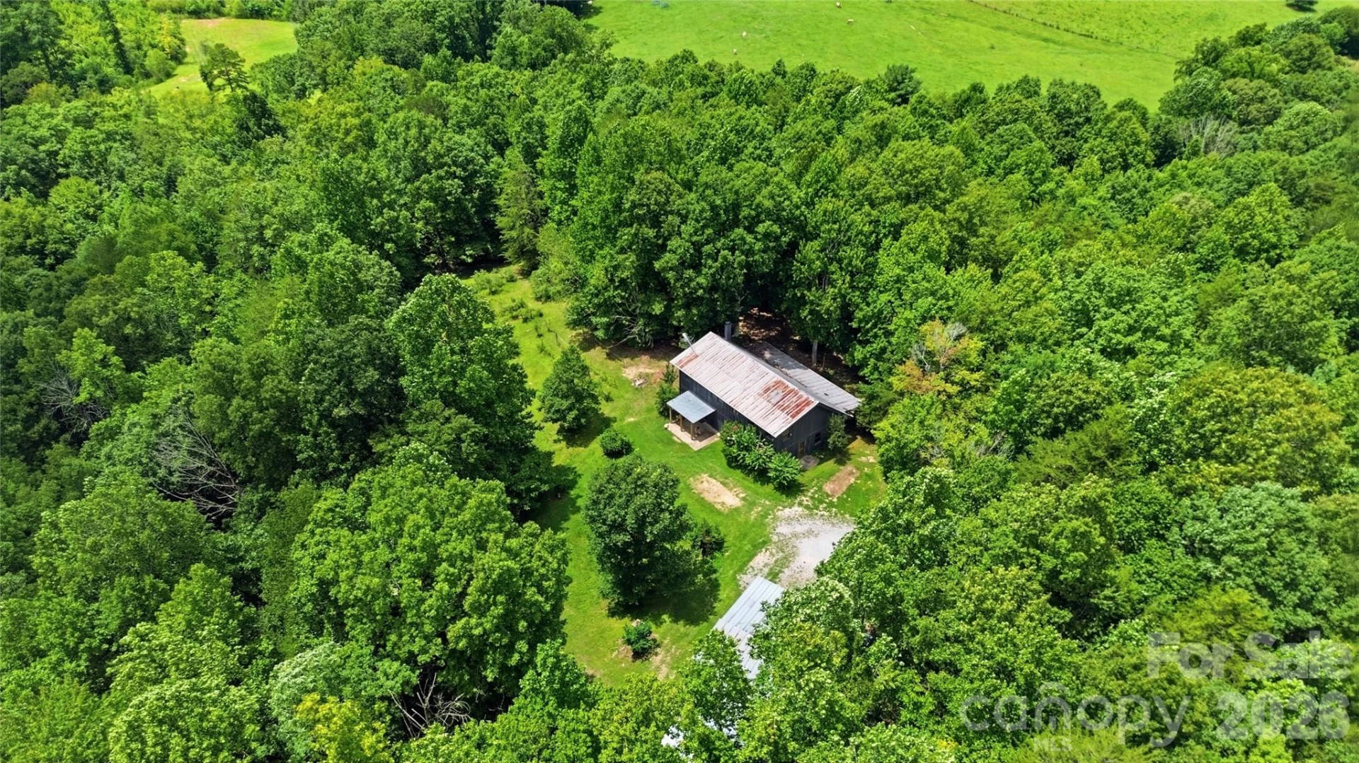 316-318 Cane Creek Mountain Road - Photo 47