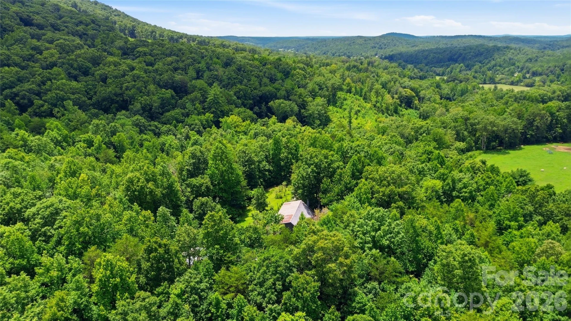 316-318 Cane Creek Mountain Road - Photo 48