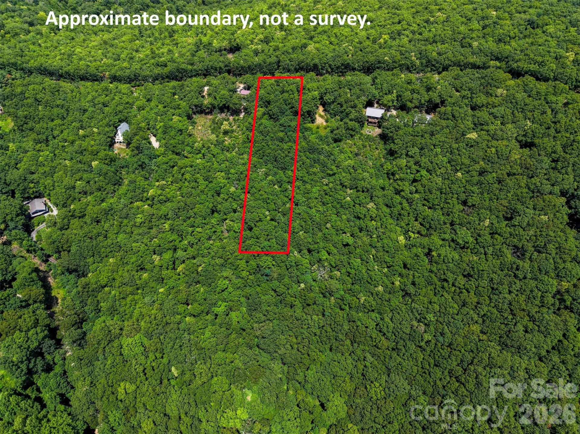 NA Pine Ridge Road #60 - Photo 2