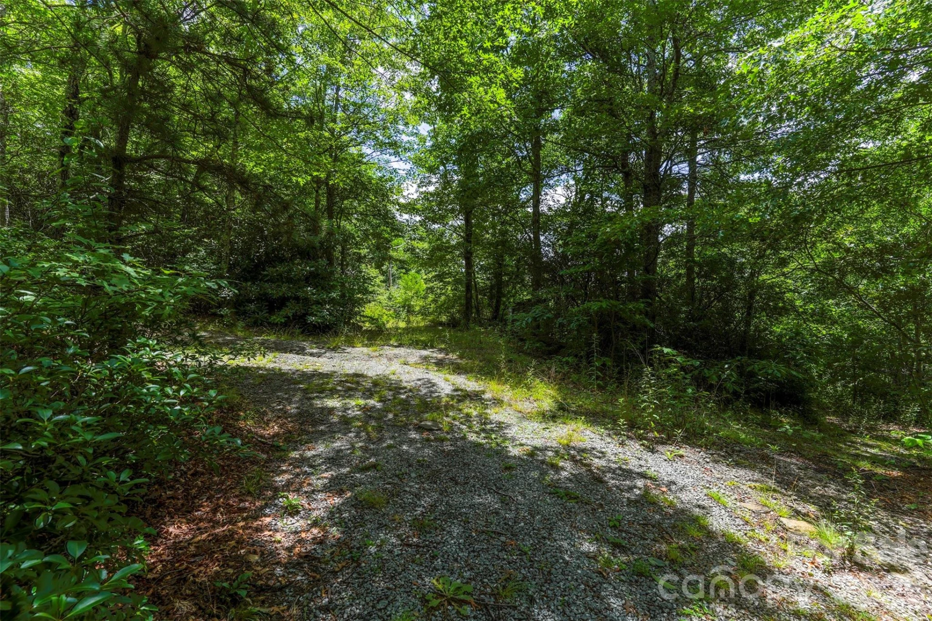 NA Pine Ridge Road #60 - Photo 4