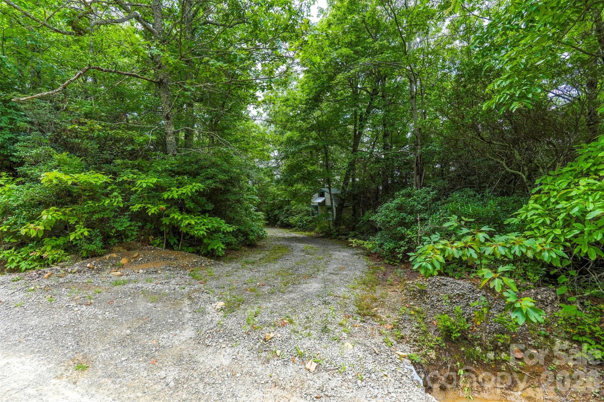 NA Pine Ridge Road #60 - Photo 5