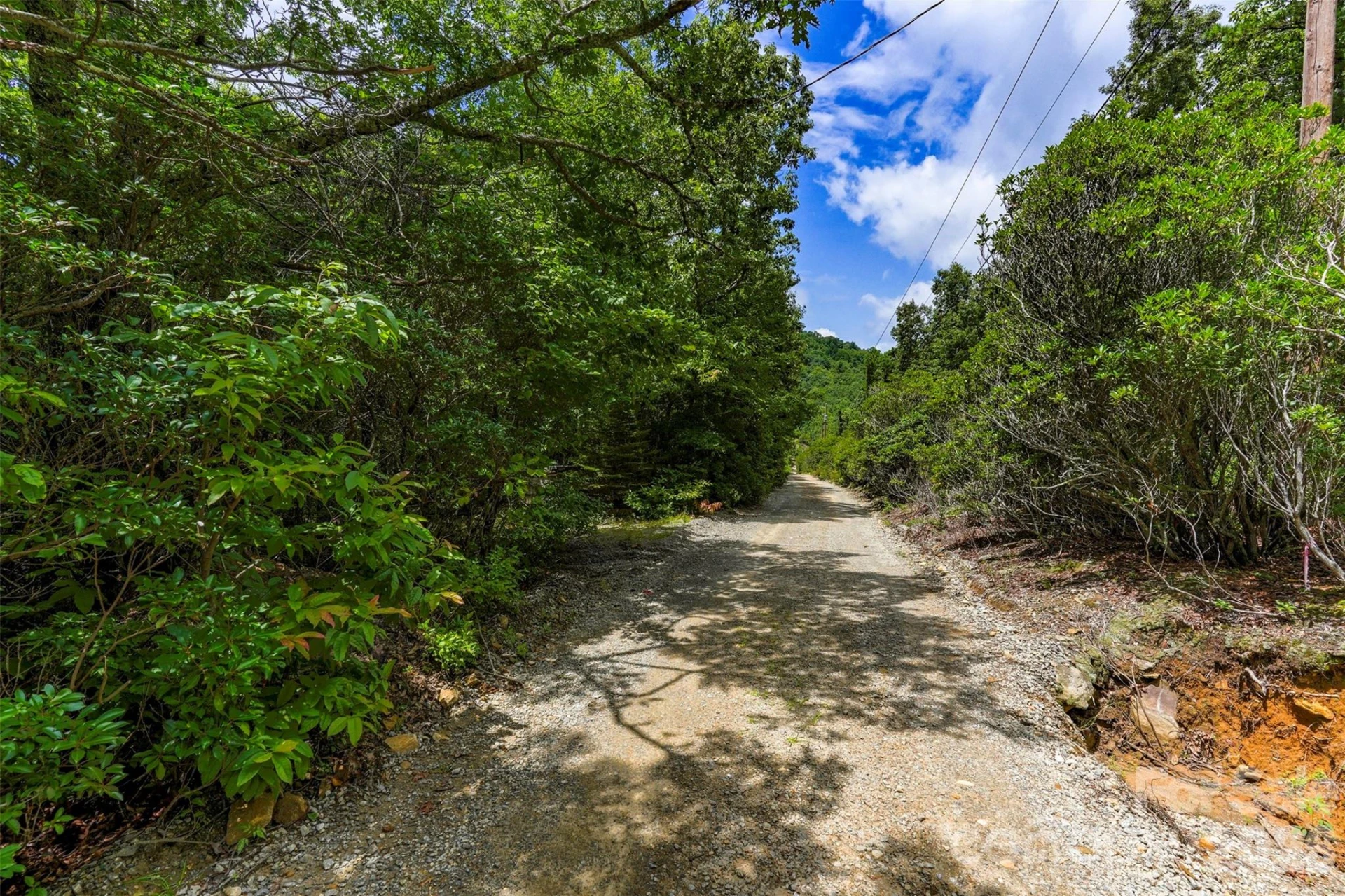 NA Pine Ridge Road #60 - Photo 7