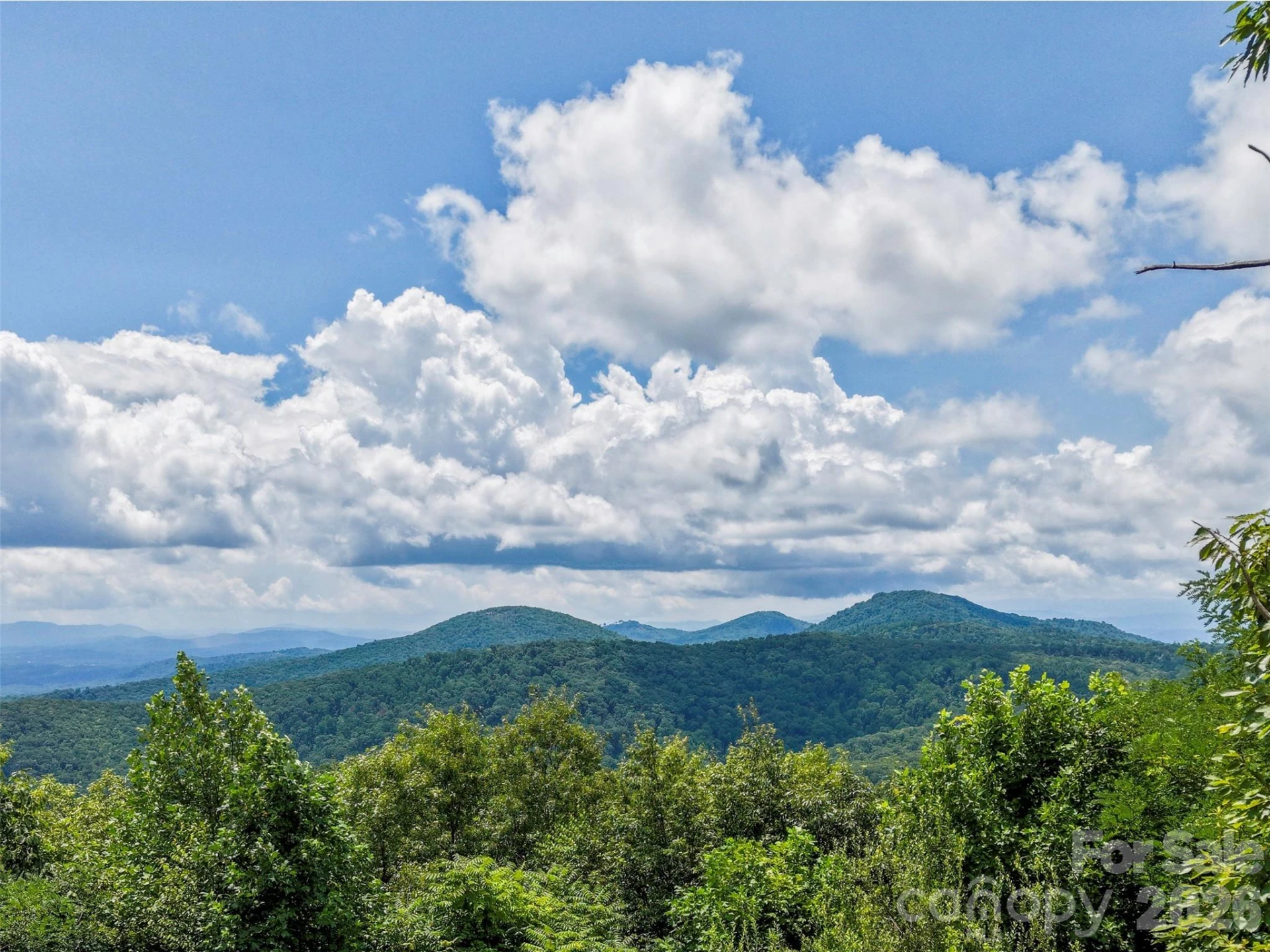 NA Pine Ridge Road #60 - Photo 8
