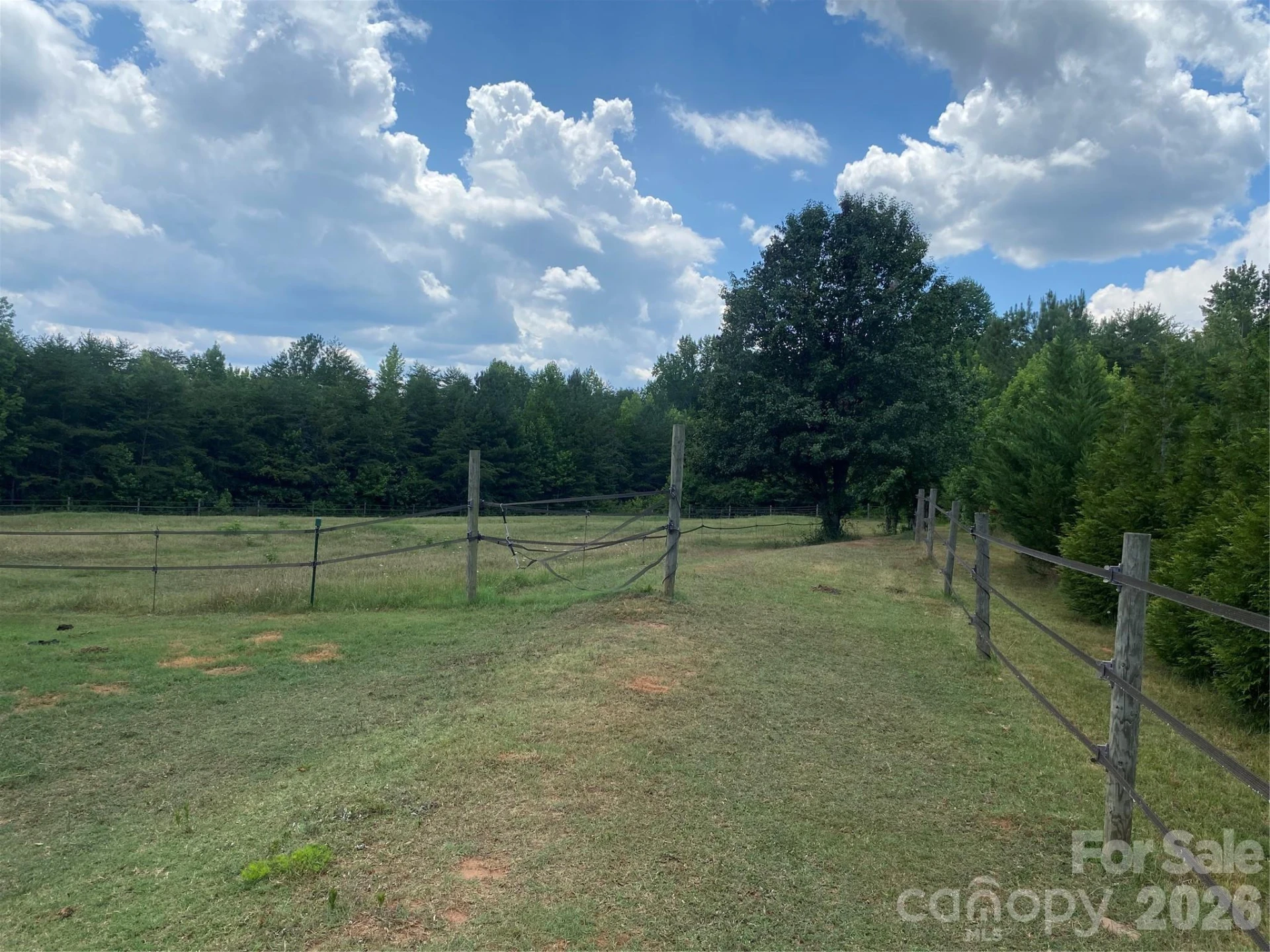 1568 John Smith Road - Photo 12