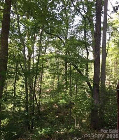 Lot 25 Bluebird Terrace, Lake Lure, NC, 28746