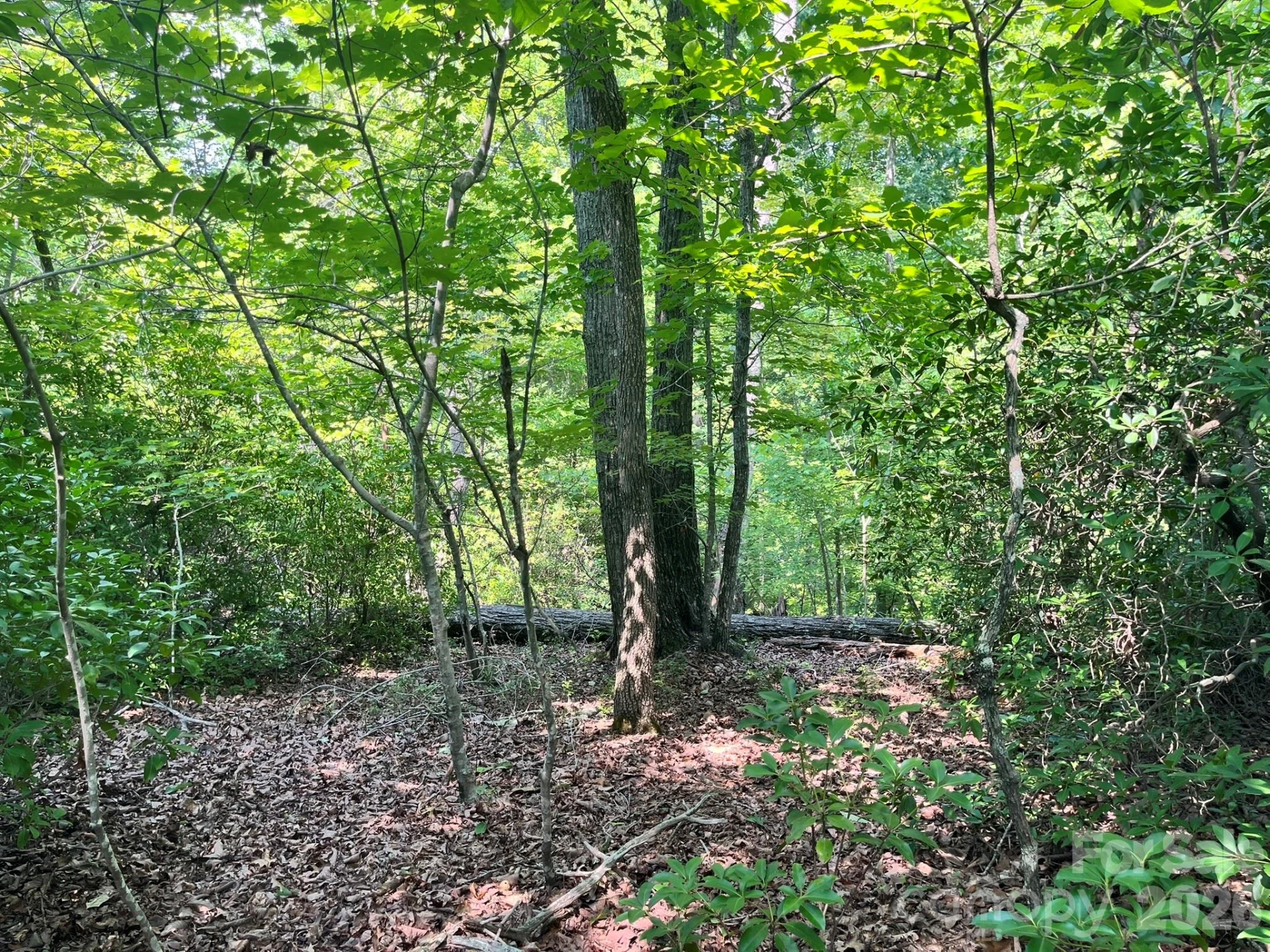 Lot 25 Bluebird Terrace - Photo 16