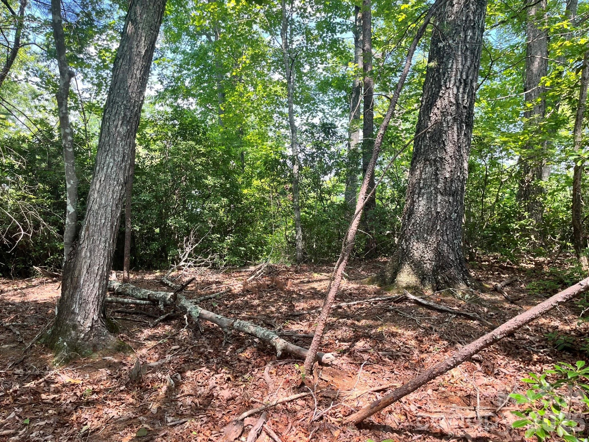 Lot 25 Bluebird Terrace - Photo 17