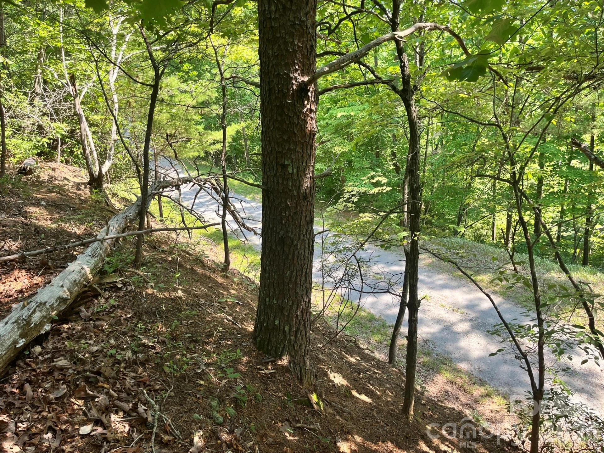 Lot 25 Bluebird Terrace - Photo 18