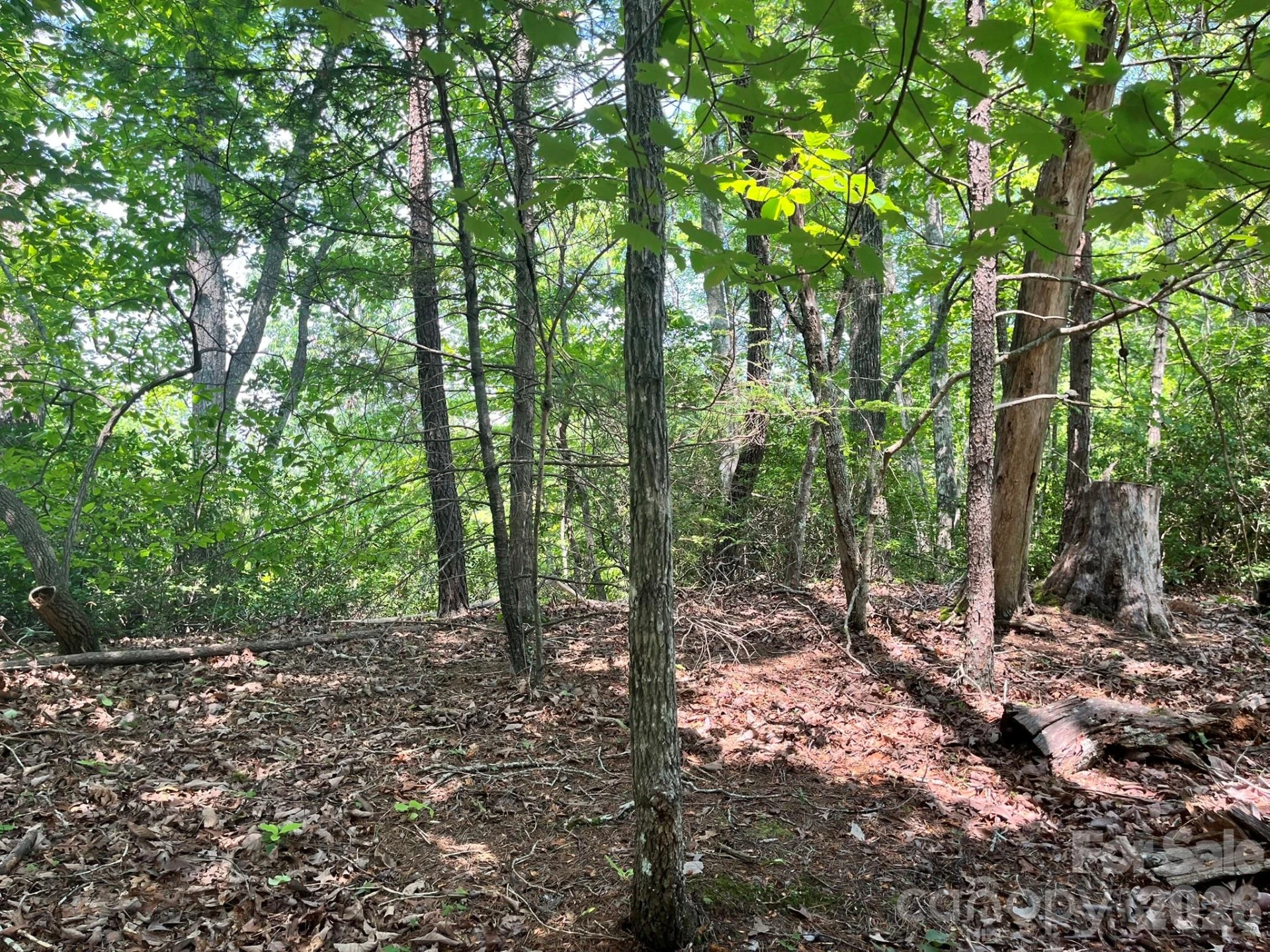 Lot 25 Bluebird Terrace - Photo 19