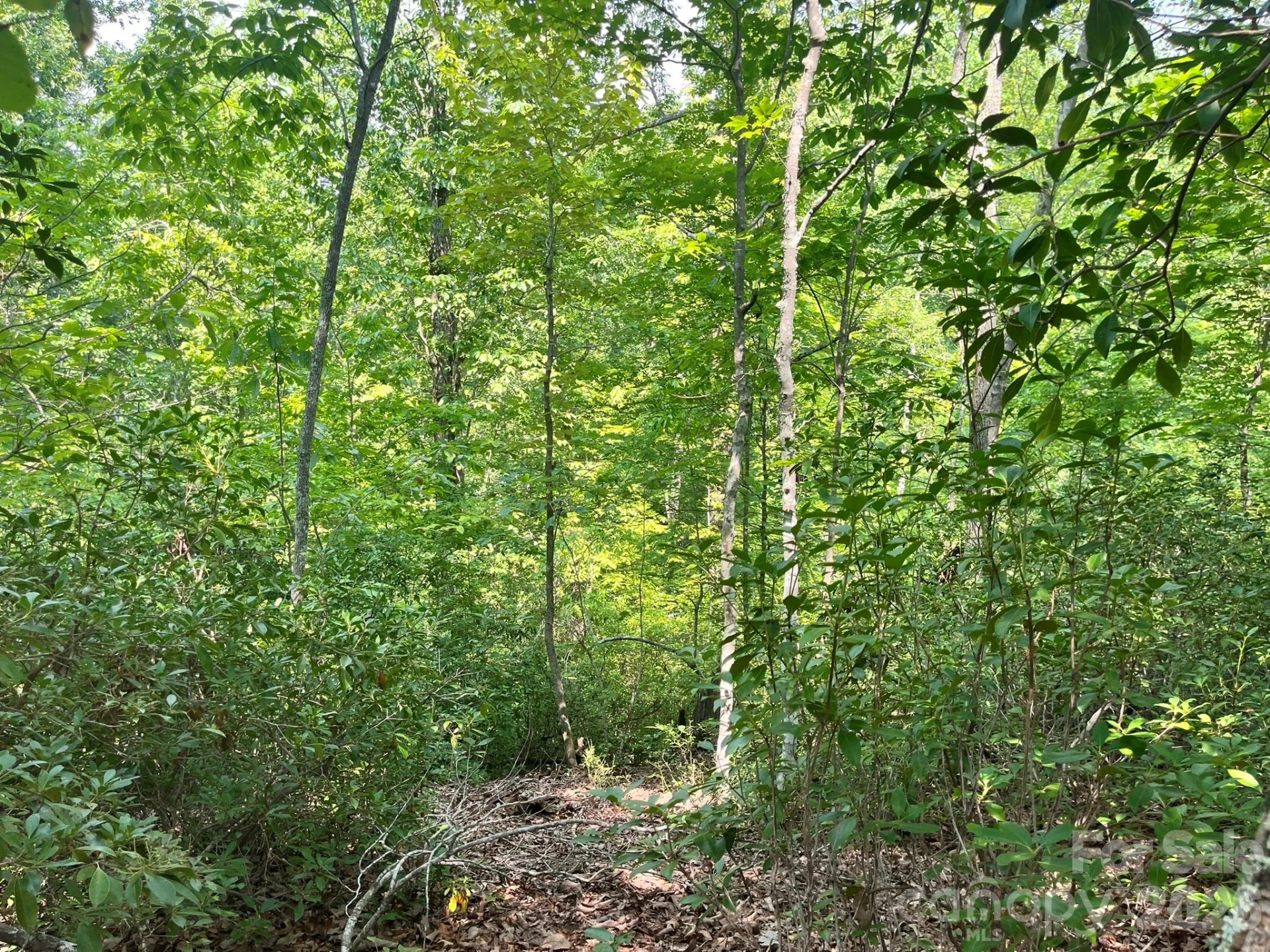 Lot 25 Bluebird Terrace - Photo 20