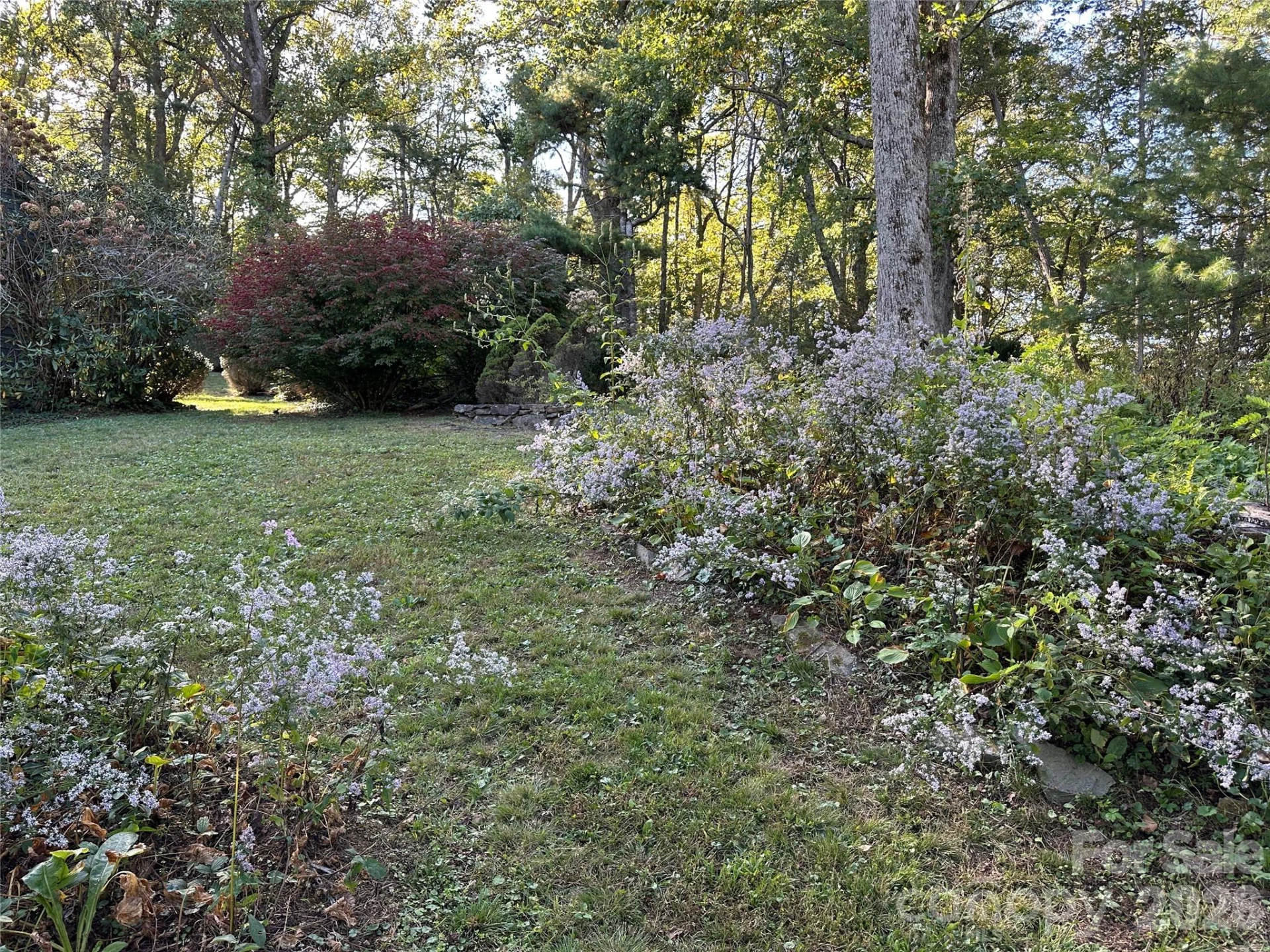 16 Osborn Knob Road - Photo 41
