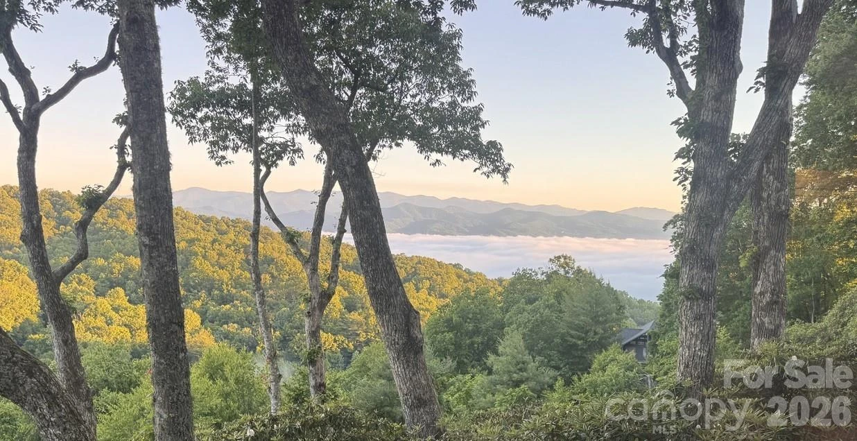 298 Tinequa Drive - Photo 3