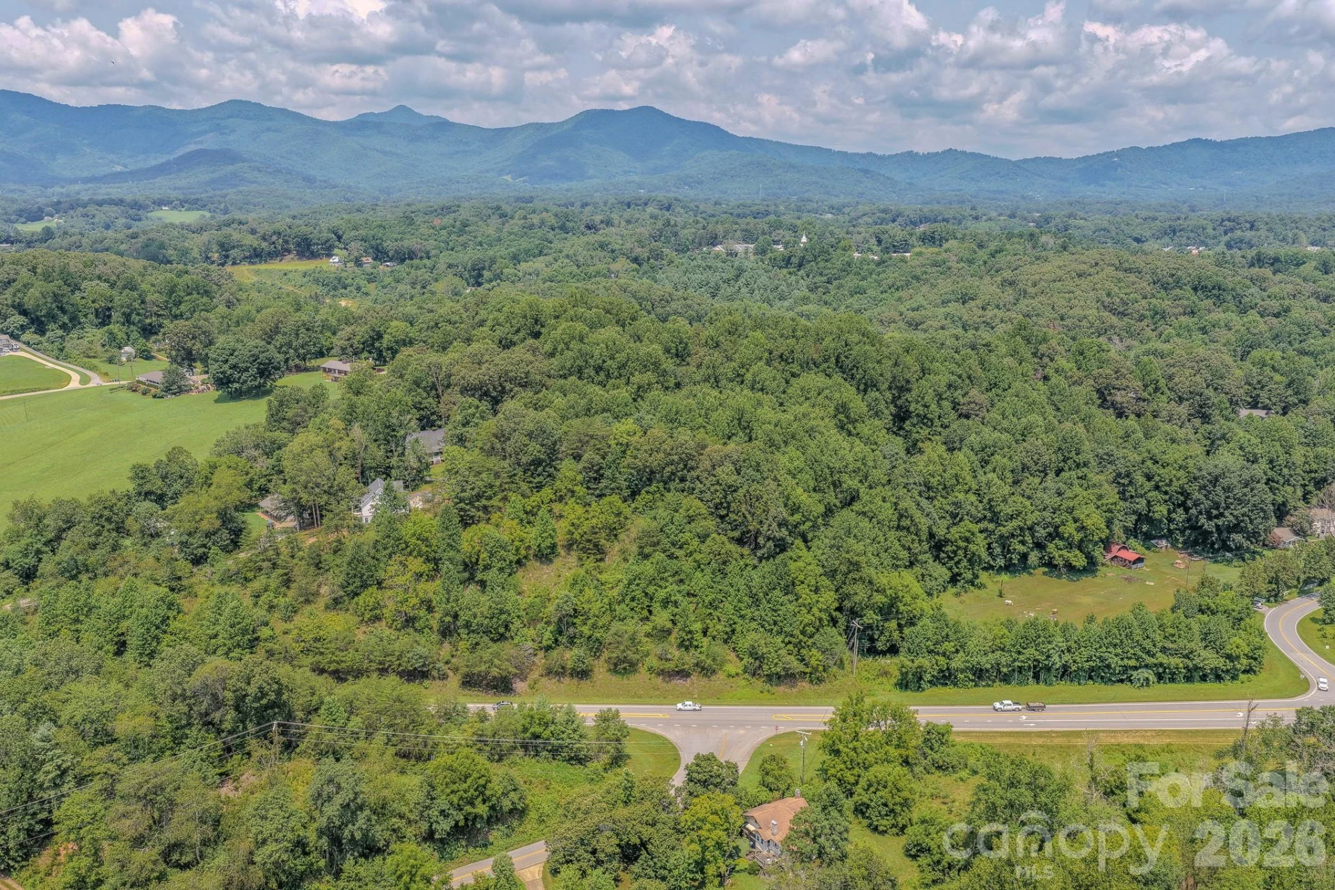 130 Old Candler Town Road - Photo 2