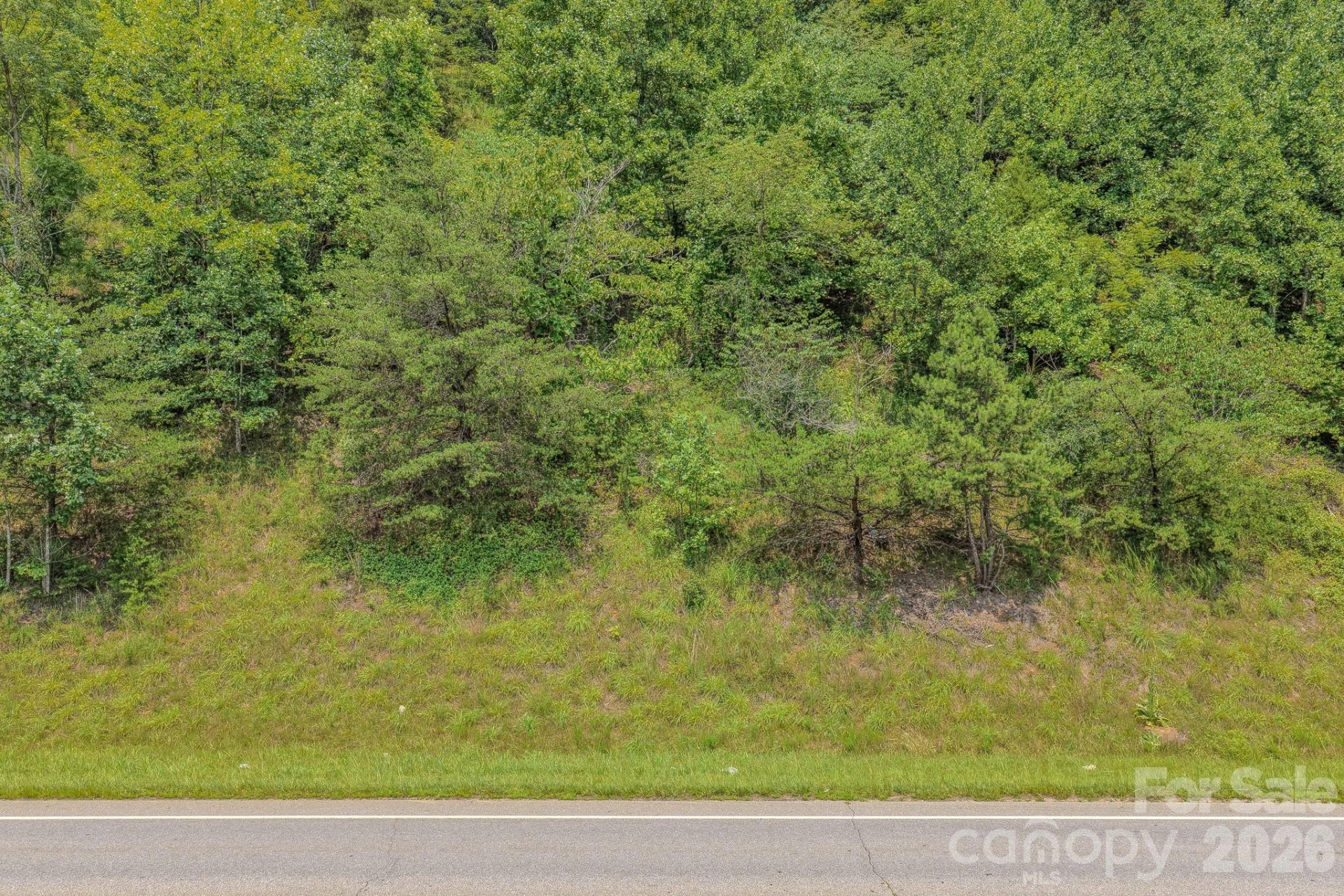 130 Old Candler Town Road - Photo 18