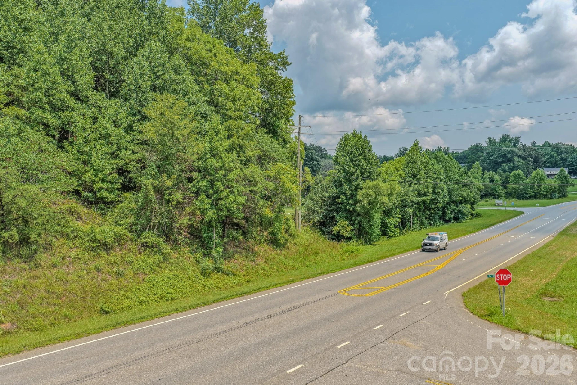 130 Old Candler Town Road - Photo 19