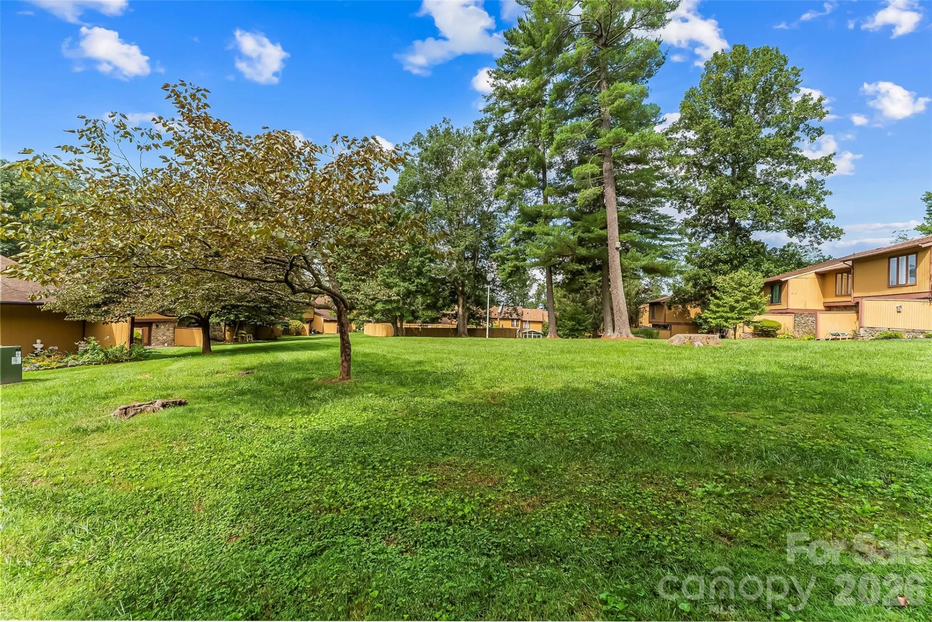 119 Colony Drive - Photo 21