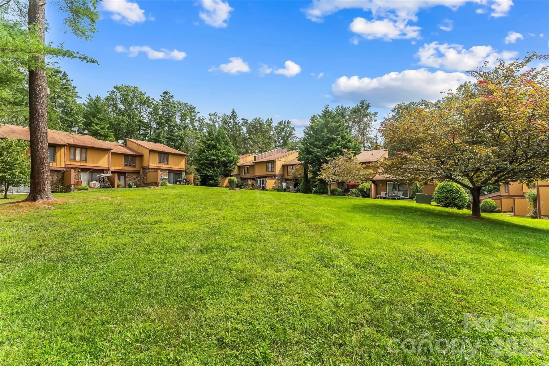 119 Colony Drive - Photo 22