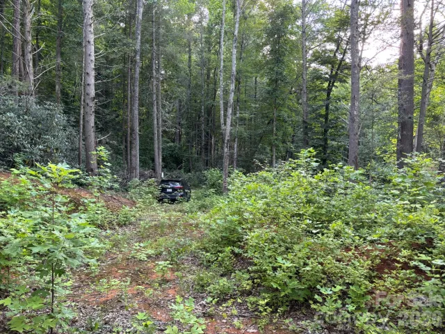 Lot 41 Peace Wood Lane, Hendersonville, NC, 28792